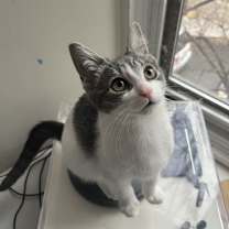 Thumbnail photo of Jack #1