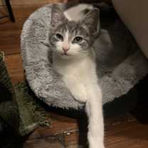 Thumbnail photo of Jack #2