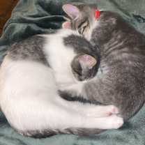 Thumbnail photo of Jack #3