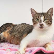 Thumbnail photo of Amina #2