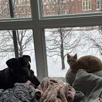 Thumbnail photo of June & Johnny - We're a Bonded Pair! #3