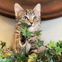 Thumbnail photo of Gabbi #2