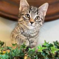 Thumbnail photo of Gabbi #4