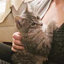 Thumbnail photo of Deegan #3