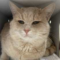 Thumbnail photo of Walter #2