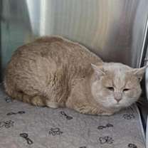 Thumbnail photo of Walter #3