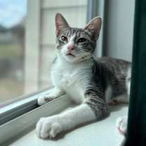 Thumbnail photo of Del #1