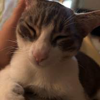 Thumbnail photo of Del #3