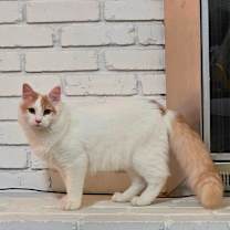 Thumbnail photo of Augustus  #3