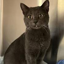 Thumbnail photo of Mac #1