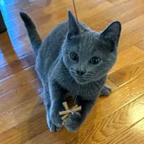 Thumbnail photo of Ailith  #4