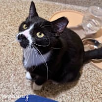 Thumbnail photo of Spaz #2