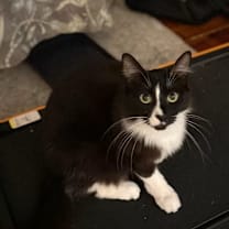 Thumbnail photo of Daphne #2