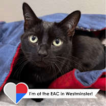 Thumbnail photo of Jemma #1