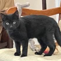 Thumbnail photo of Crew #3