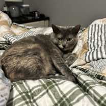 Thumbnail photo of Daisy #2