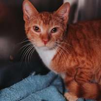 Thumbnail photo of 89645a Pastor Steve #1