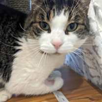 Thumbnail photo of Trevor #1