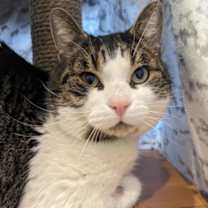 Thumbnail photo of Trevor #2