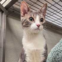 Thumbnail photo of Eric Menendez #1