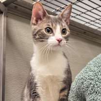 Thumbnail photo of Eric Menendez #2