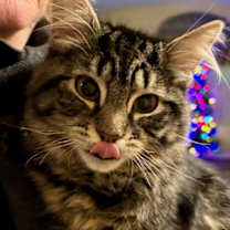 Thumbnail photo of Roxanne C #2