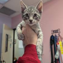 Thumbnail photo of Bran (Dory) #1