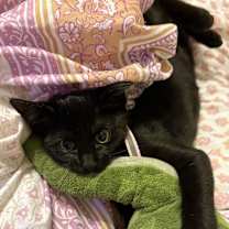 Thumbnail photo of Spoopy #1