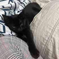 Thumbnail photo of Spoopy #2