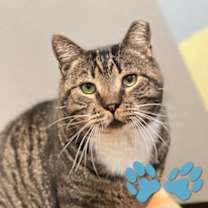 Thumbnail photo of Harry #1