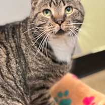 Thumbnail photo of Harry #2