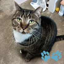 Thumbnail photo of Harry #3