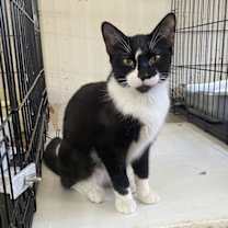 Thumbnail photo of Yakutat #1