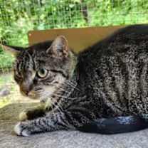 Thumbnail photo of Doodle #3