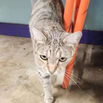 Thumbnail photo of Sissy #3