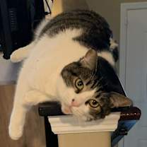 Thumbnail photo of Maui #2