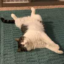 Thumbnail photo of Maui #3