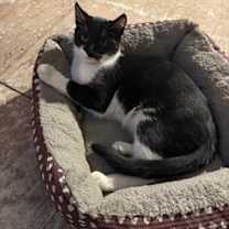 Thumbnail photo of Johnny #3