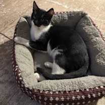 Thumbnail photo of Johnny #4