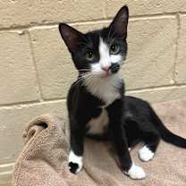 Thumbnail photo of Queens #1