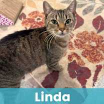Thumbnail photo of Linda #1