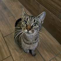 Thumbnail photo of Linda #2