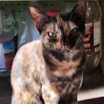 Thumbnail photo of Kasey #1