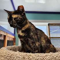 Thumbnail photo of Kasey #4