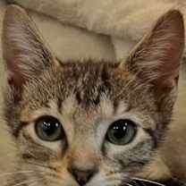 Thumbnail photo of Sprout #1