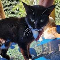 Thumbnail photo of Zoey #2