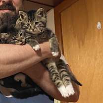 Thumbnail photo of Foucault OBCR-1763 #2