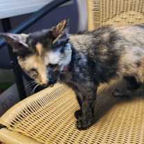 Thumbnail photo of Madison Lou #2