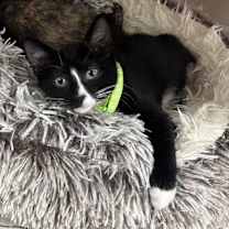 Thumbnail photo of Stomp #4