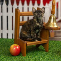 Thumbnail photo of Nina #3